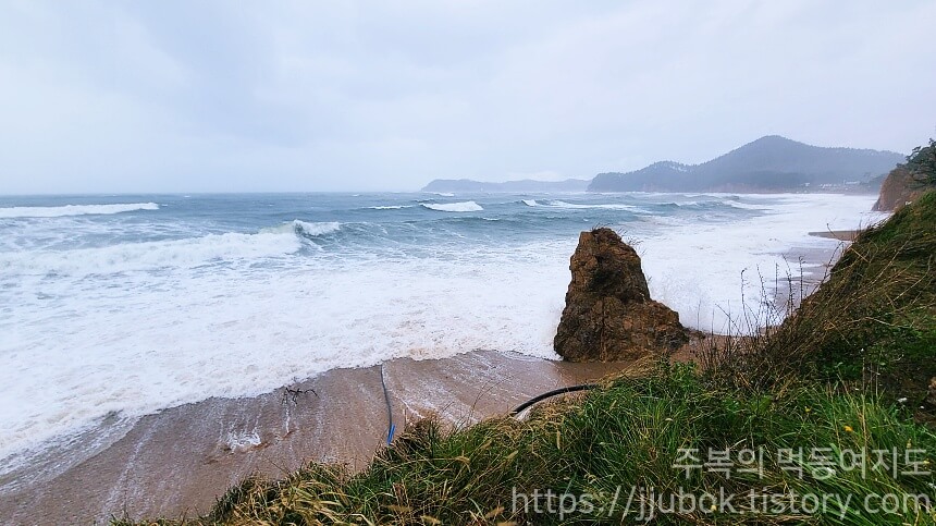 커피인터뷰-파도리-오션뷰-2