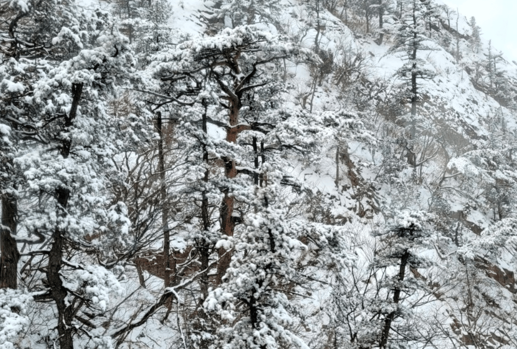 국내 겨울여행지 추천