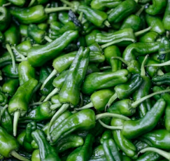 혈액순환에 좋은 음식