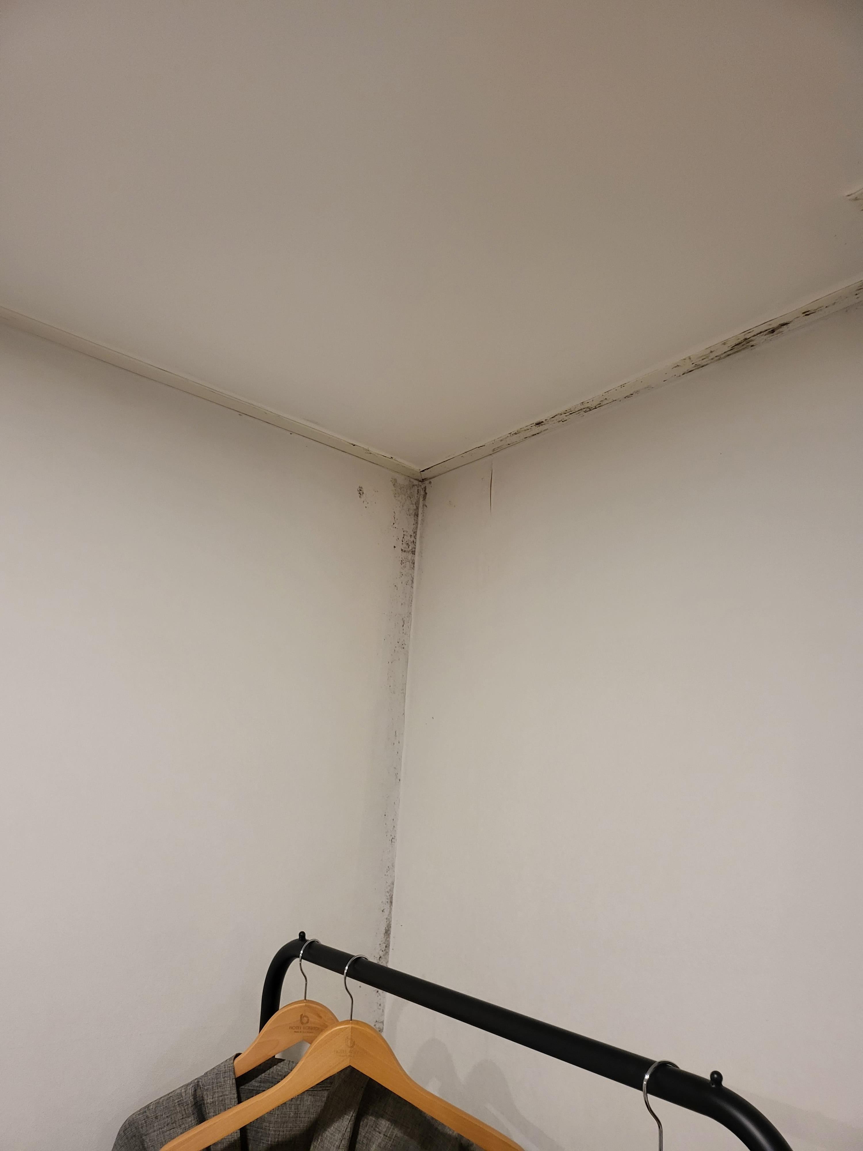 호텔보니또-내부7