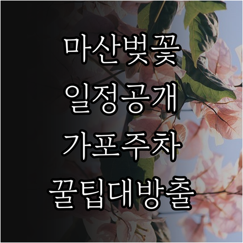 마산합포구 벚꽃 축제 일정과 가포해안..