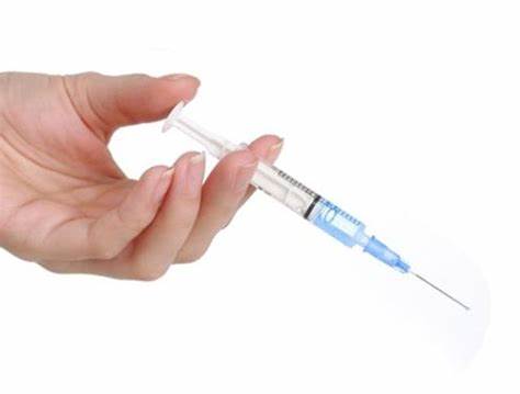 독감 인플루엔자 개요