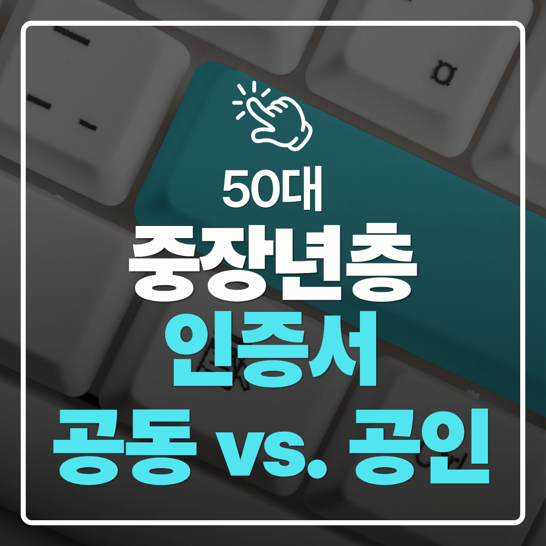 중장년층 디지털 도전 공인인증서 대신 공동인증서