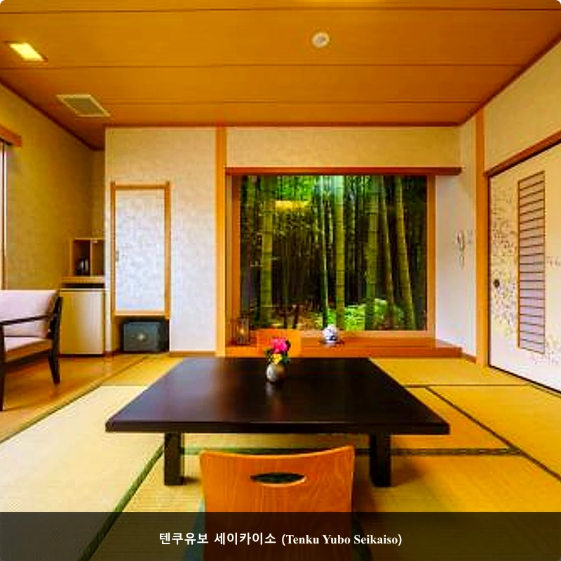 텐쿠유보 세이카이소 (Tenku Yubo Seikaiso)_4