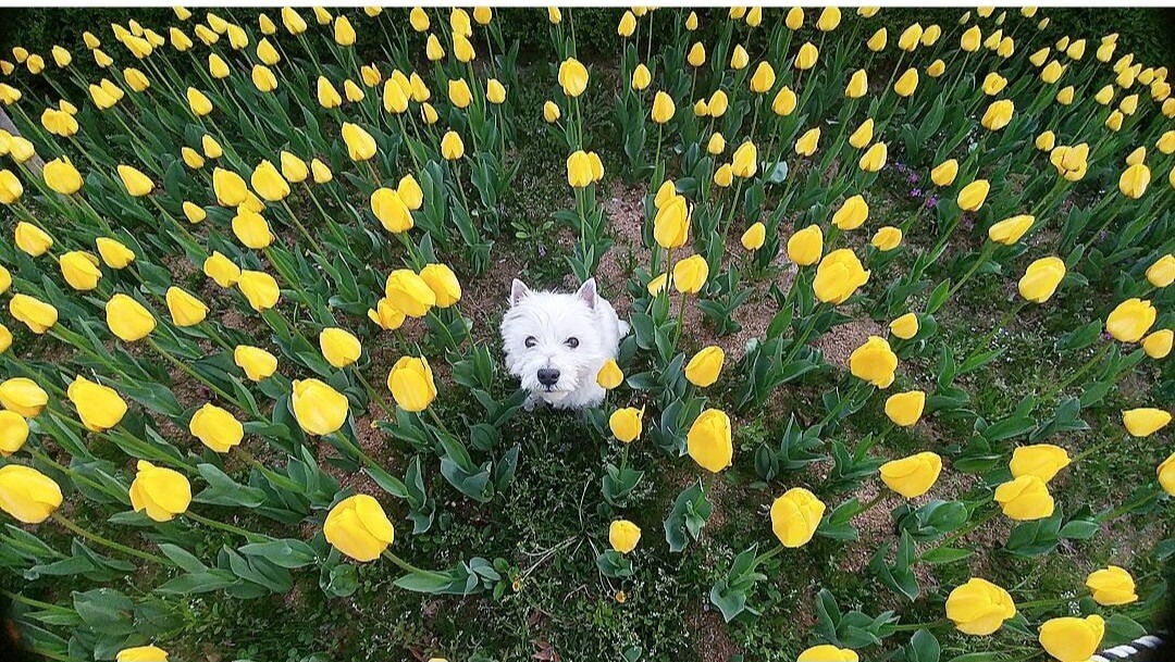 평촌 중앙공원 '23 알뜰나눔장터 개시 4월 22일