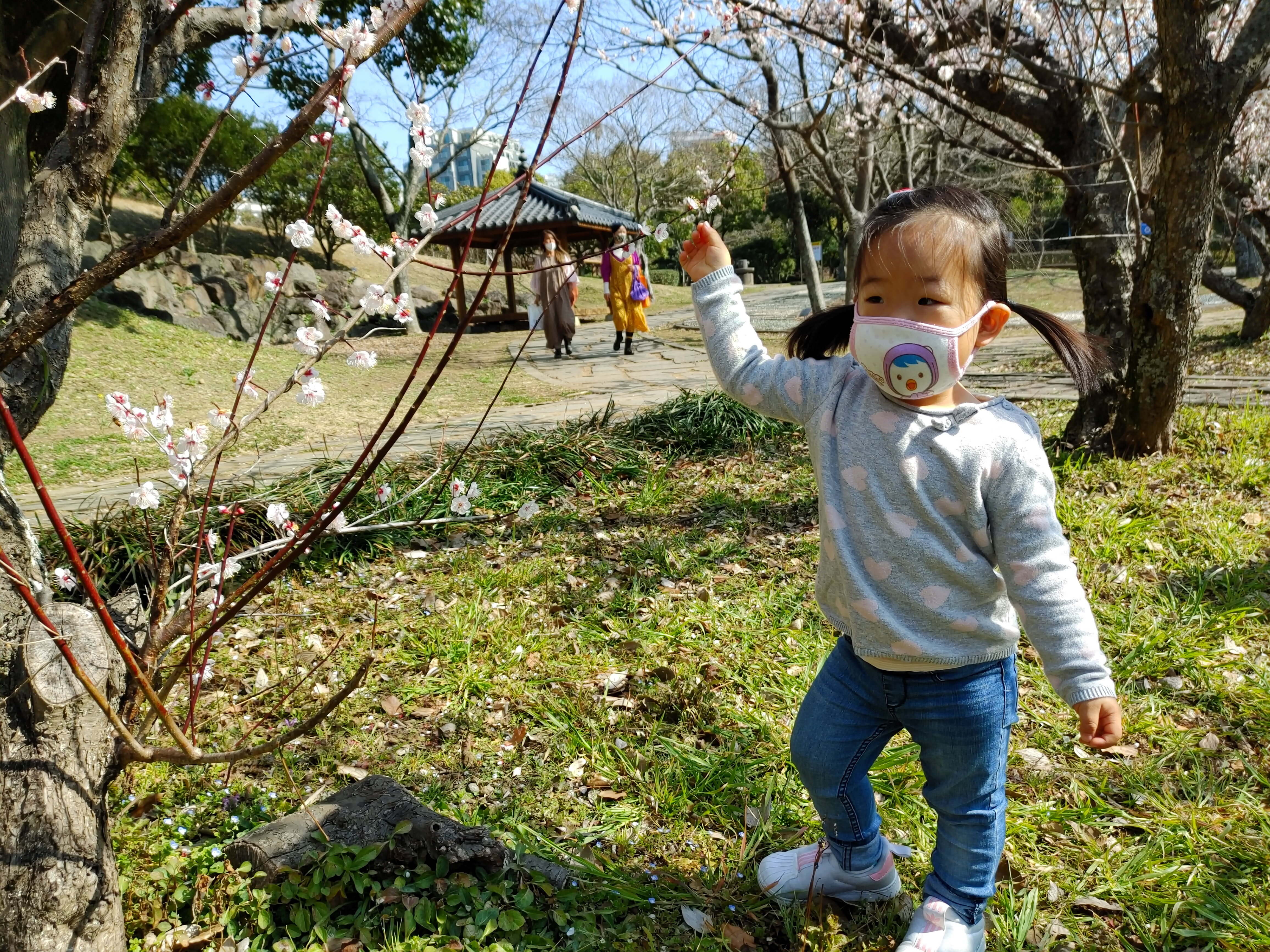 매화 나무를 잡으려는 지아