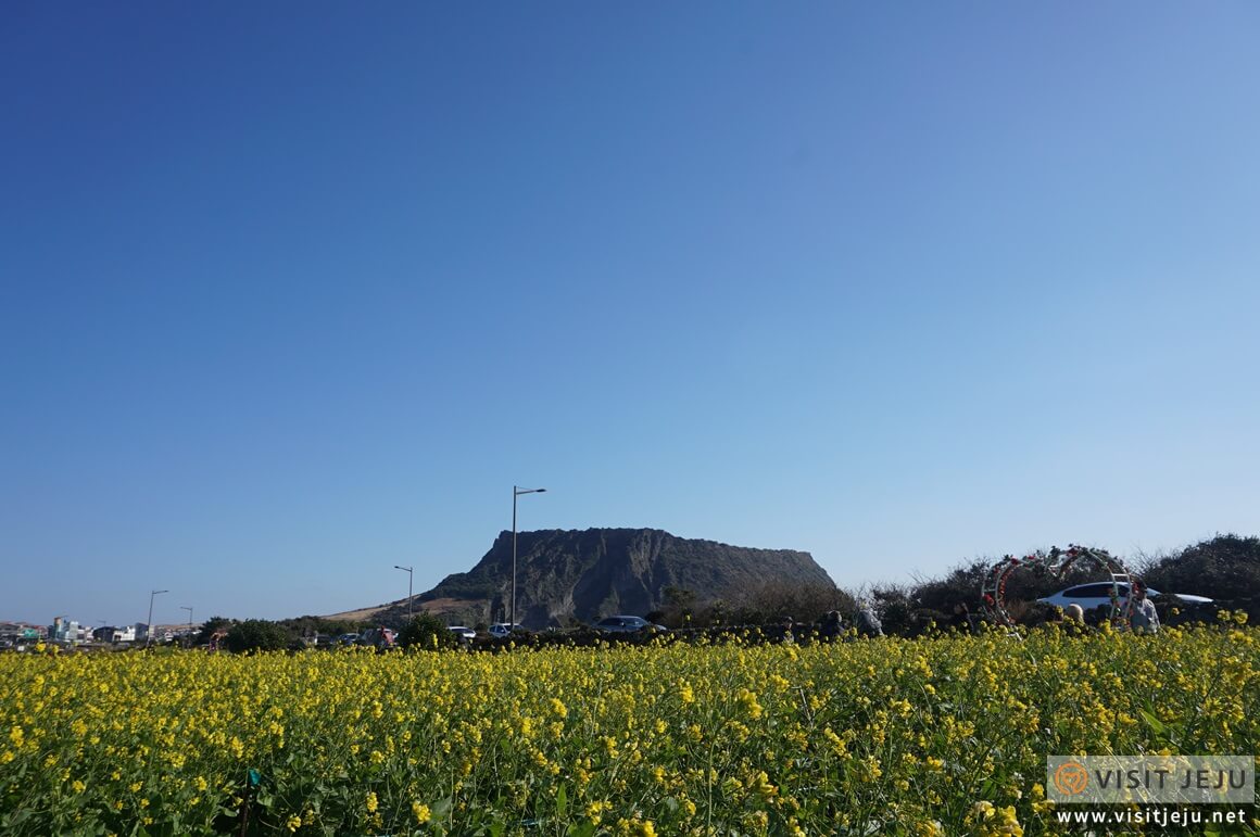 3월국내여행지BEST5