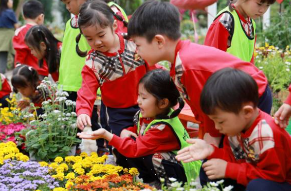 함평나비대축제 개막｜2026 일정&middot;입장료&middot;프로그램&middot;방문 팁 정리