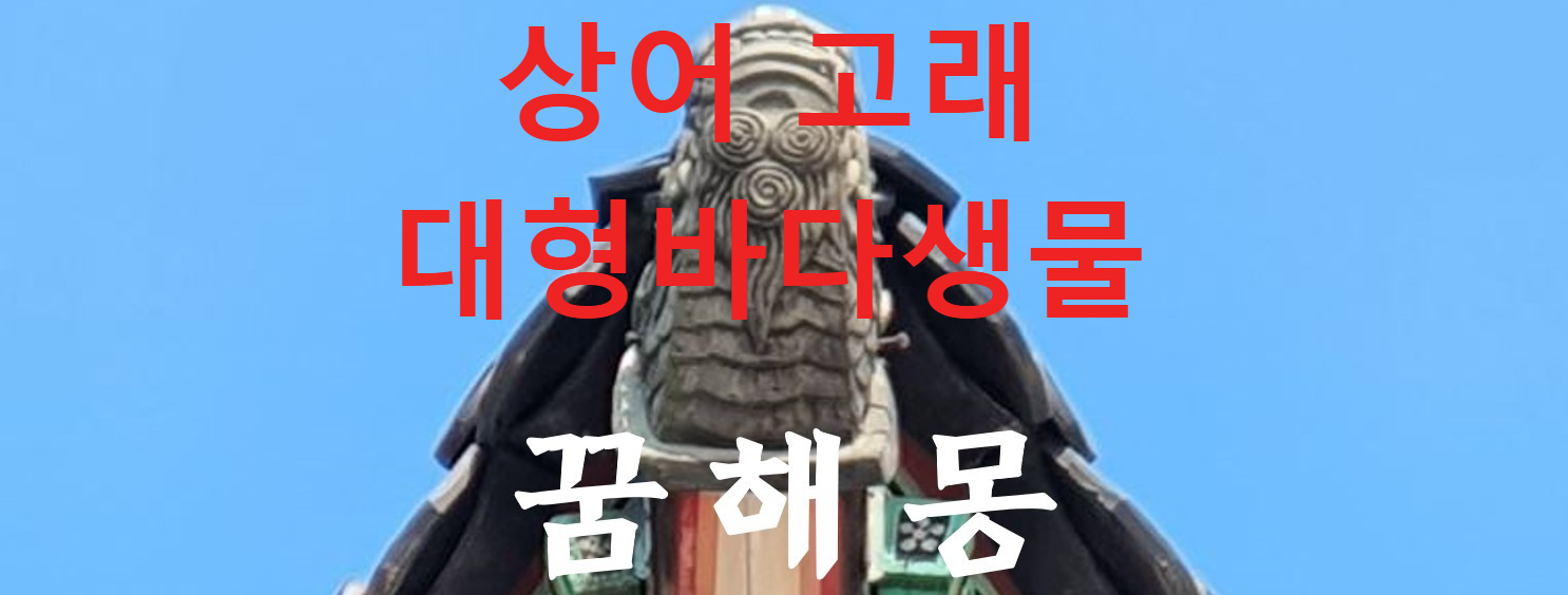 꿈해몽
