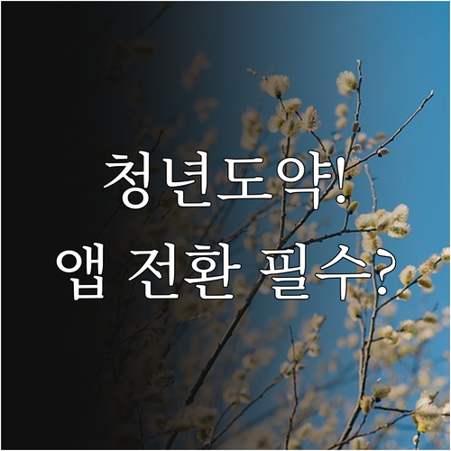 청년도약계좌 모바일 앱 전환 신청 방..