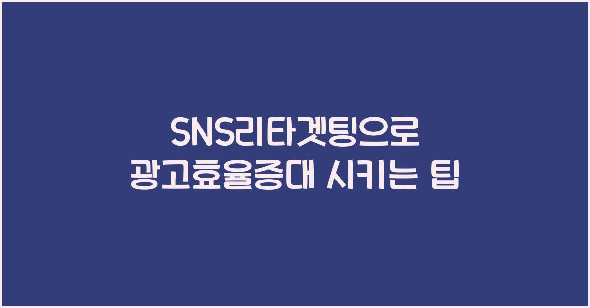 SNS리타겟팅·광고효율증대