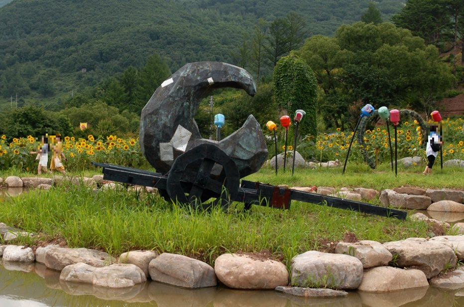 태백 해바라기축제