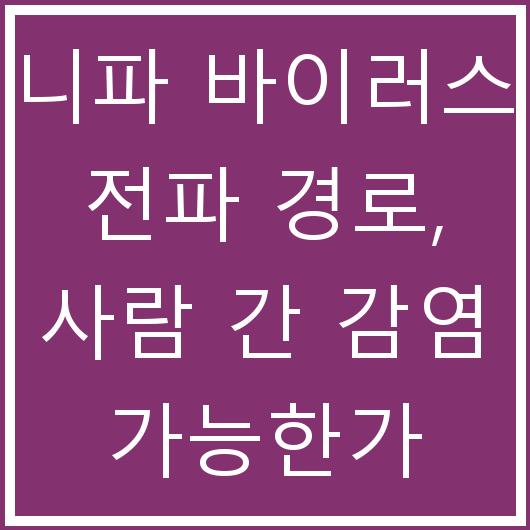 니파 바이러스 전파 경로, 사람 간 감염 가능한가