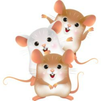 12간지 띠별 순서와 띠별 성격