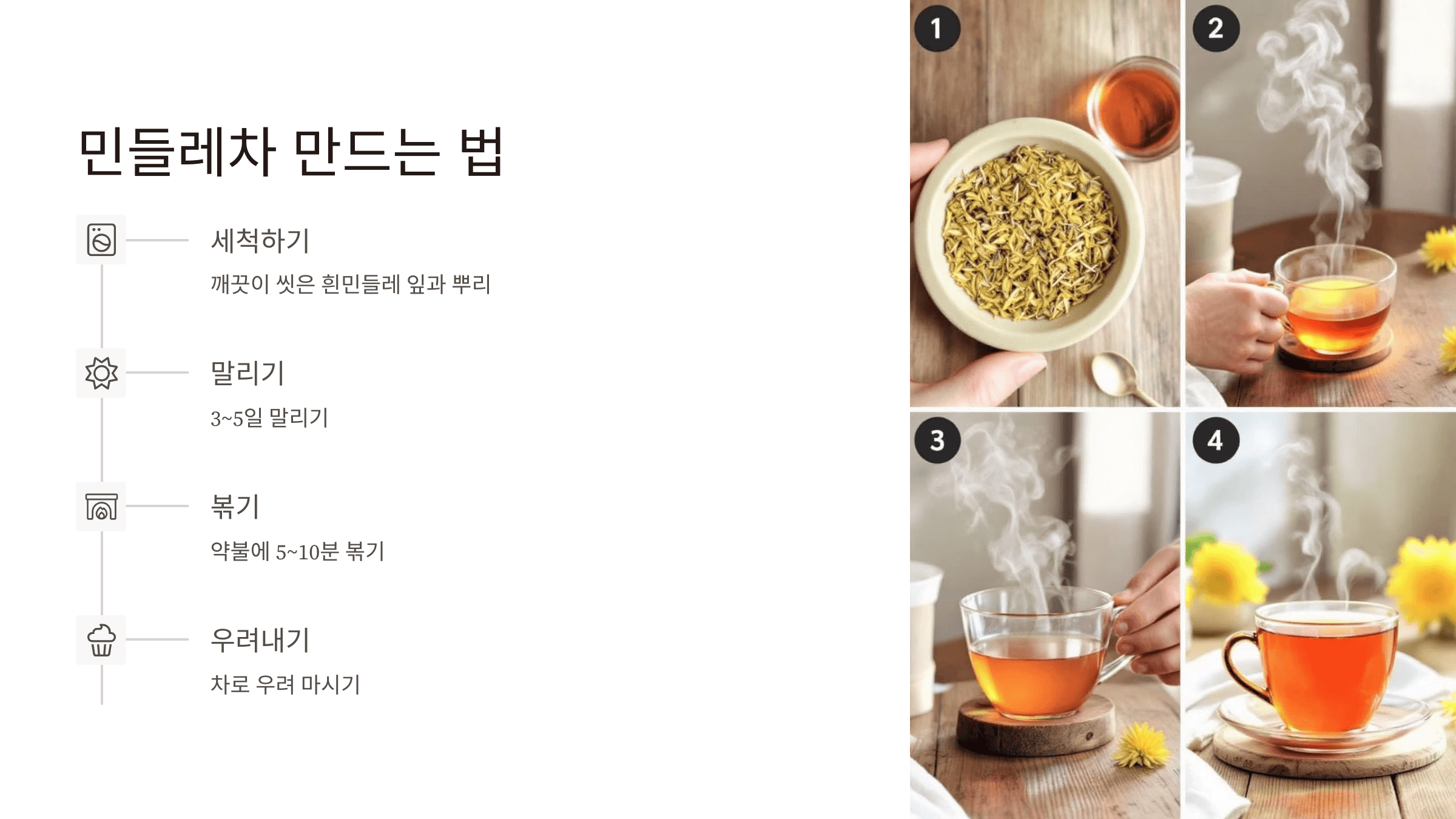 흰민들레 사진입니다.