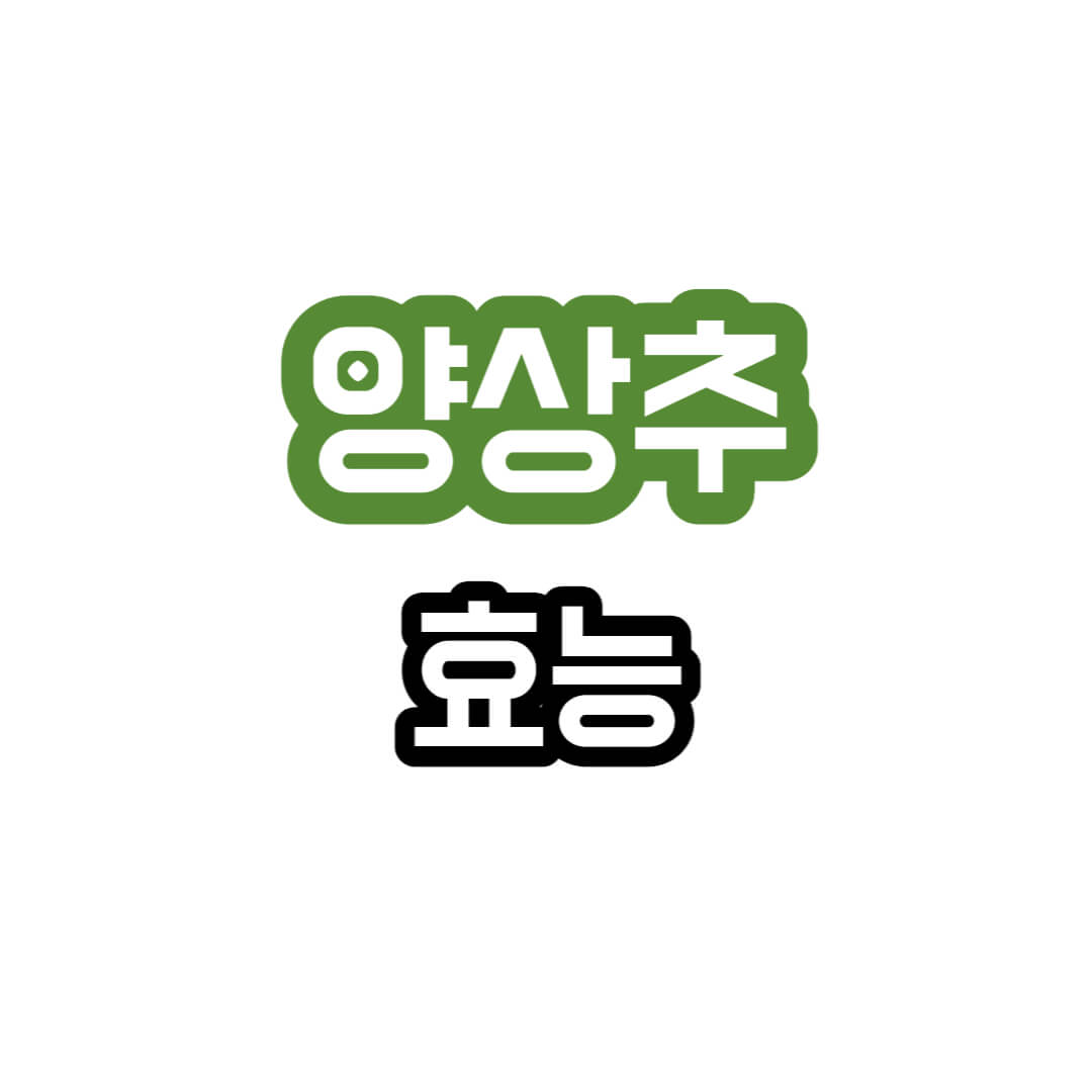 양상추-효능설명