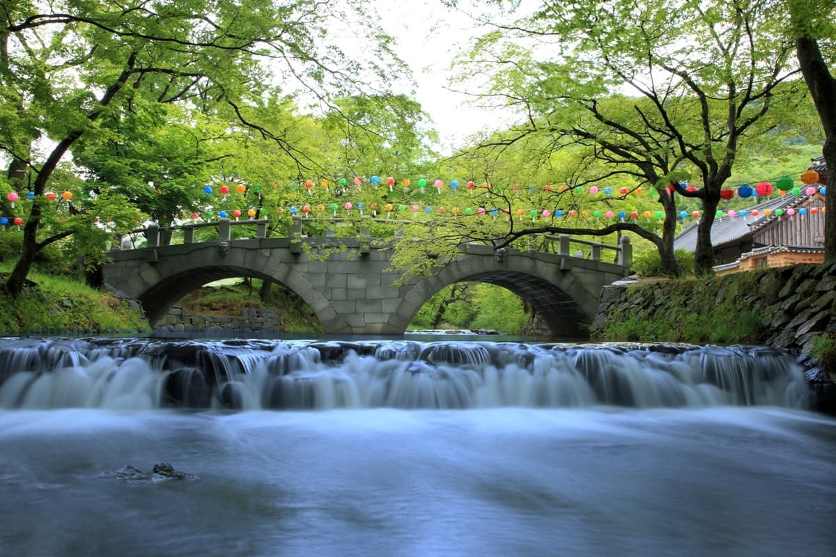[4월 축제]사계절의 모습이 다 아름다운 고창 선운사❘동백꽃, 홍매화 사진 이벤트