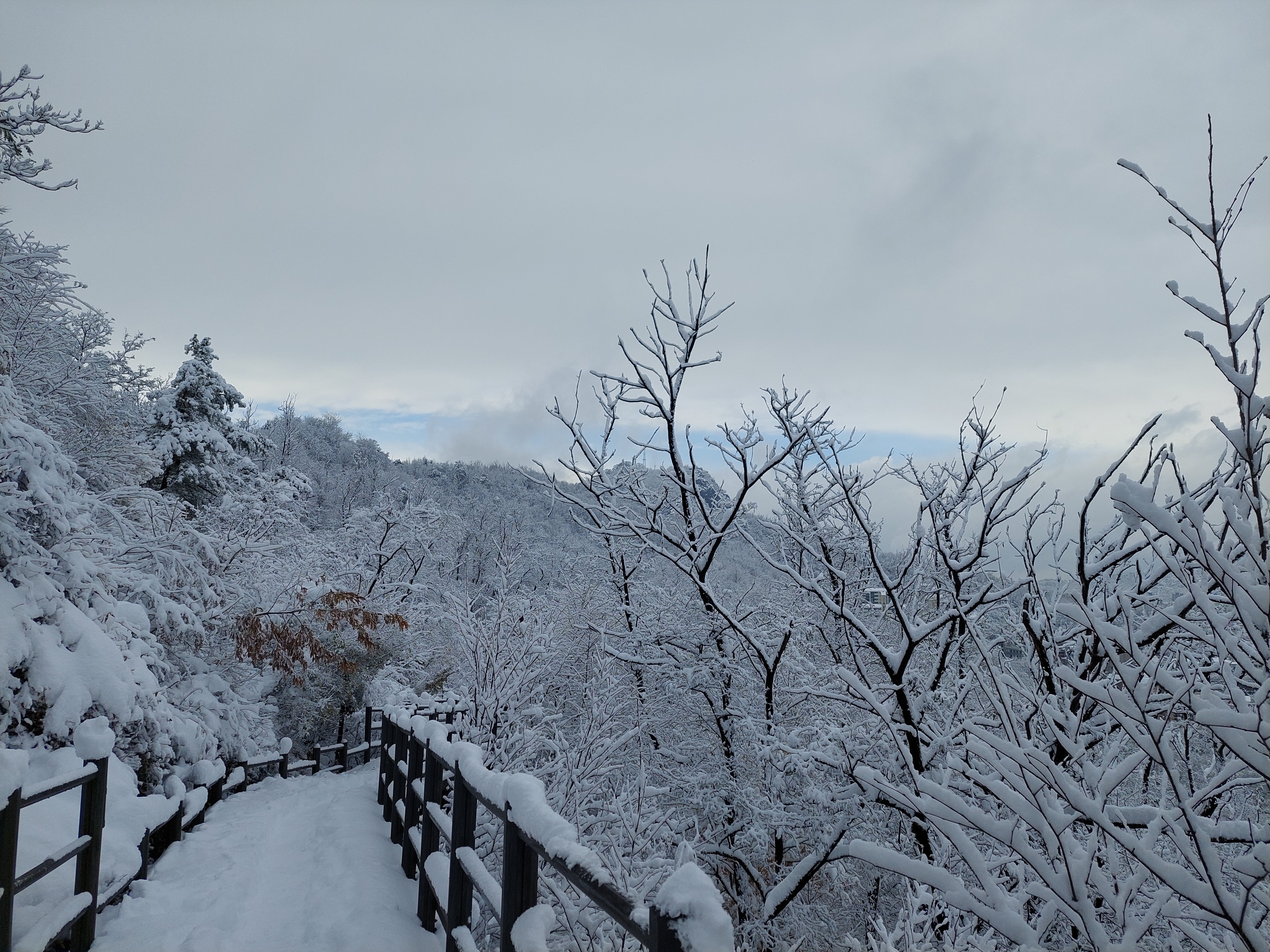 백련산안산