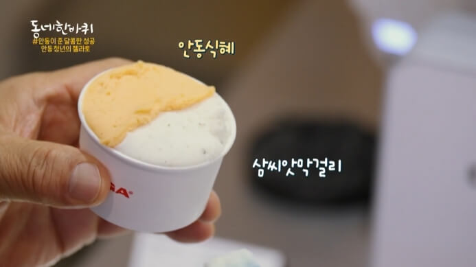 안동식혜젤라토