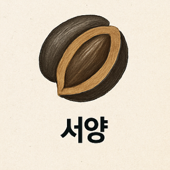 공진당효능
