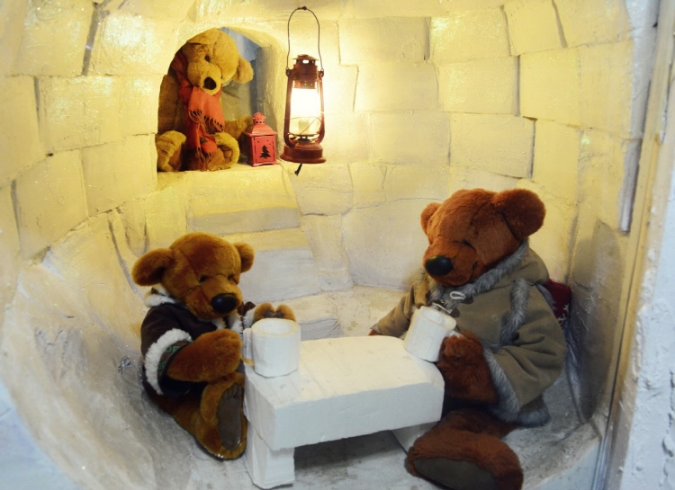 속초 테디베어팜