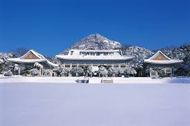 청화대 관람 사전예약하기