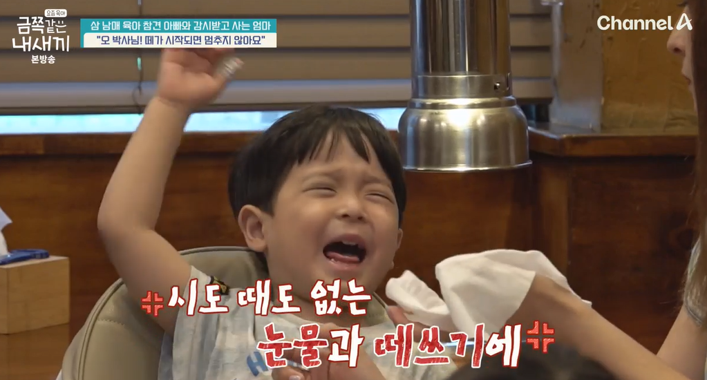 금쪽같은-내새끼-202회