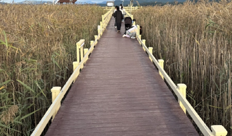 강진만 생태공원