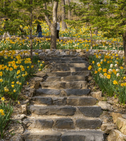 화담숲 모노레일