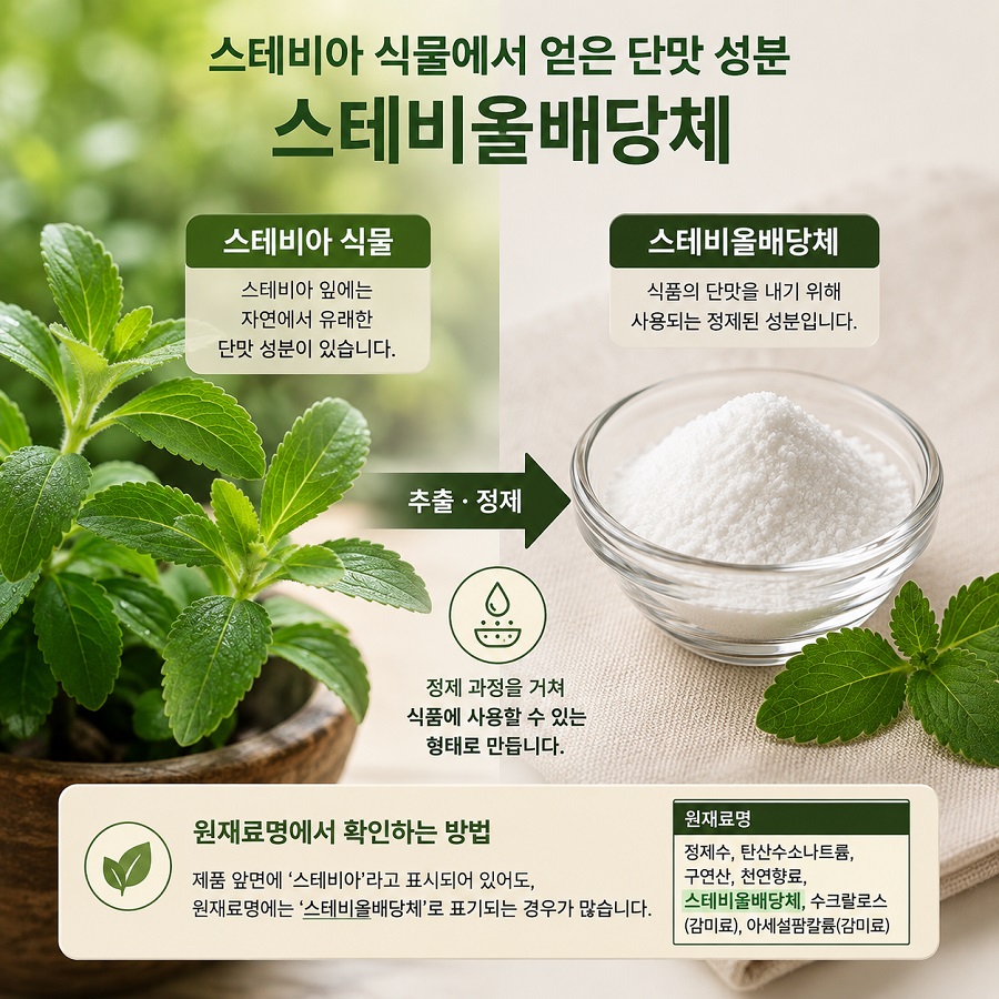 스테비아 잎과 정제된 스테비올배당체의 차이를 보여주는 이미지