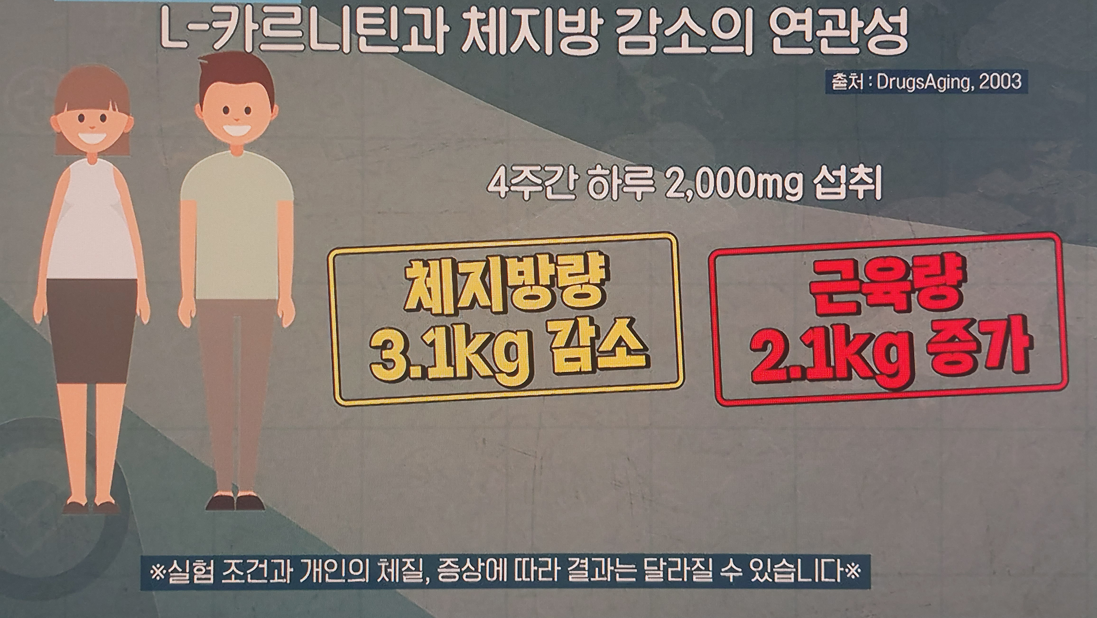 L-카르니틴 효능