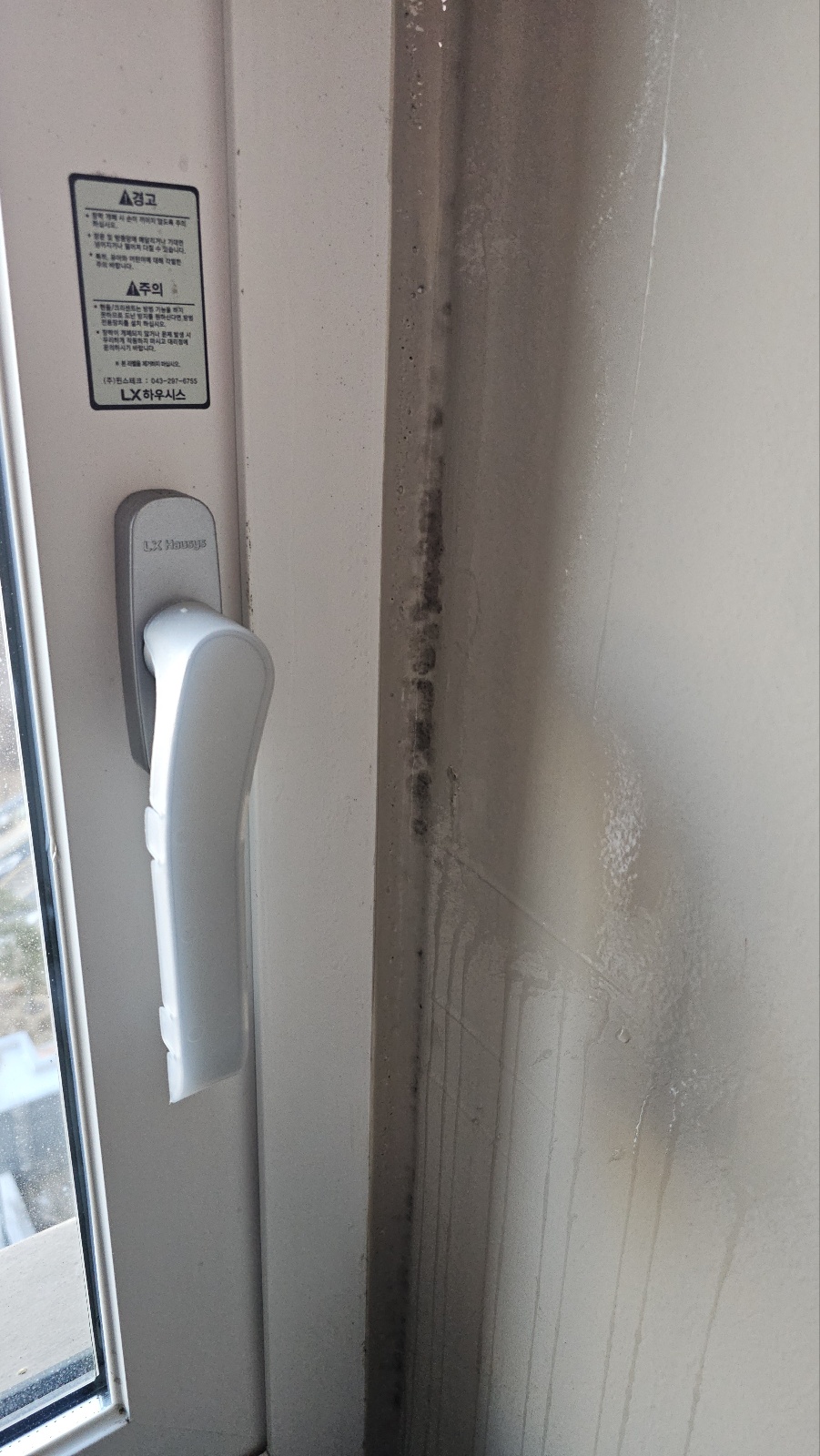 세탁실 곰팡이 제거｜닥터클린 곰팡이제거제/방지제 내돈내산 사용기