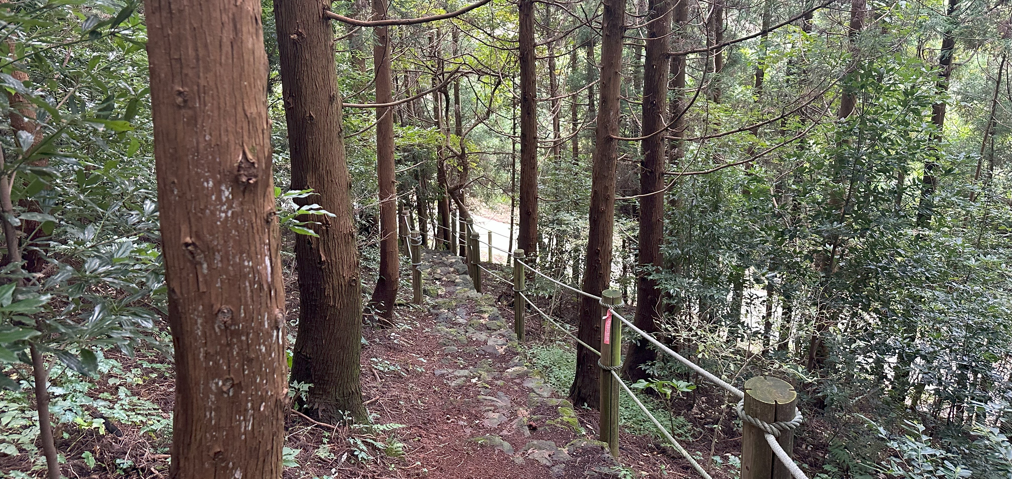 북오름 내려가는길