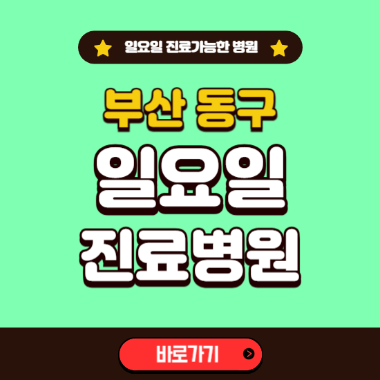 부산 동구 일요일 진료 가능한 병원 ❘ 주말 문여는 곳 총정리 (소아과, 내과, 안과, 치과, 피부과, 정형외과, 산부인과)