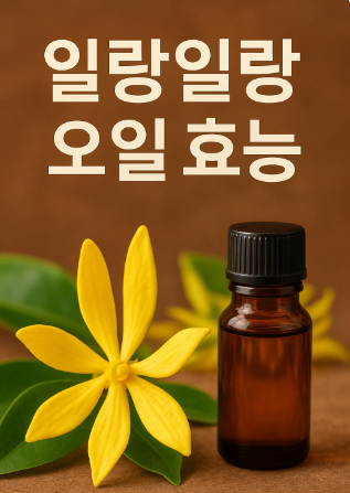 일랑일랑 오일 효능