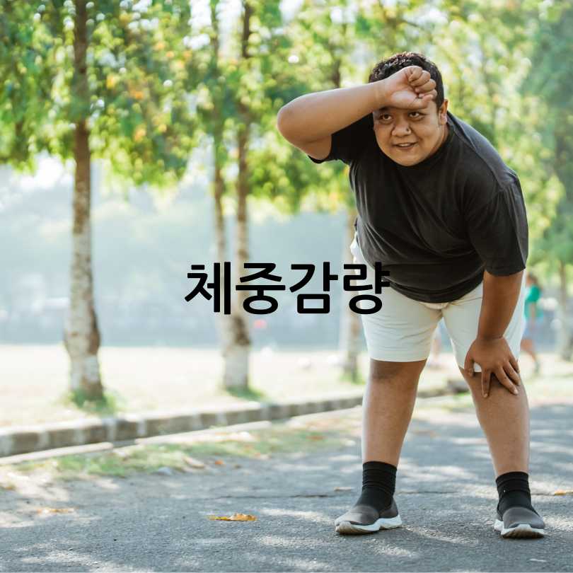 슬로우 조깅 효과