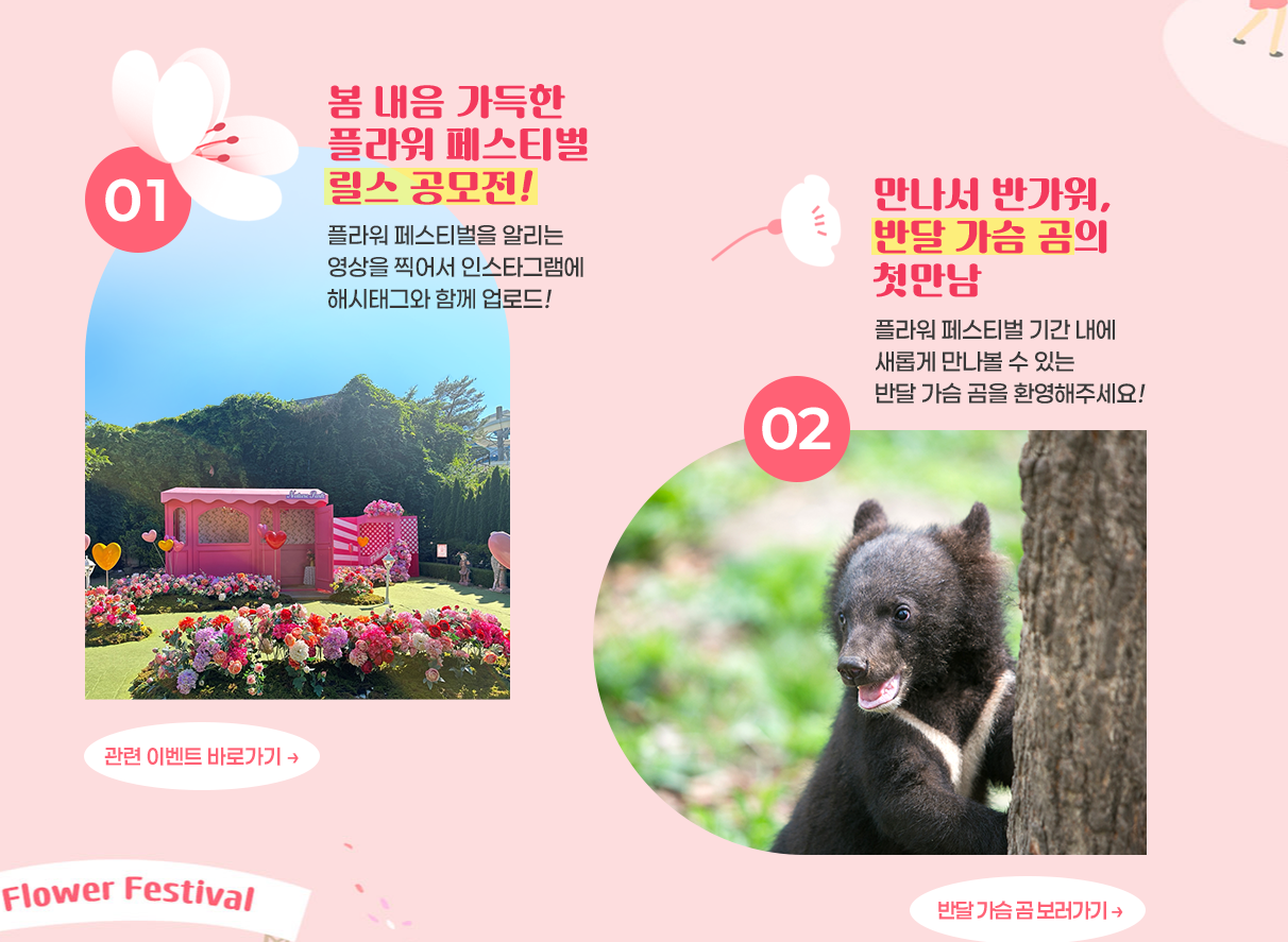 네이처파크 플라워페스티벌 주차 맛집 꿀팁 총정리