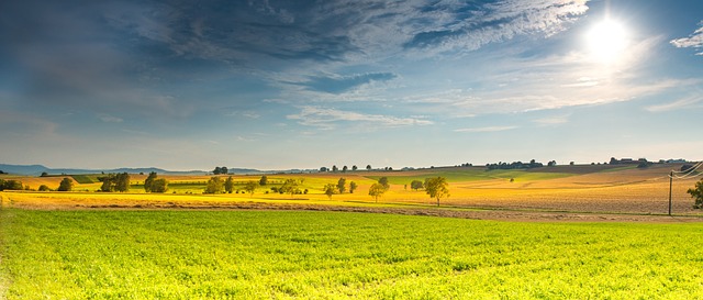 김제 벽골제와 지평선 축제의 역사적 의미 탐구 🌾