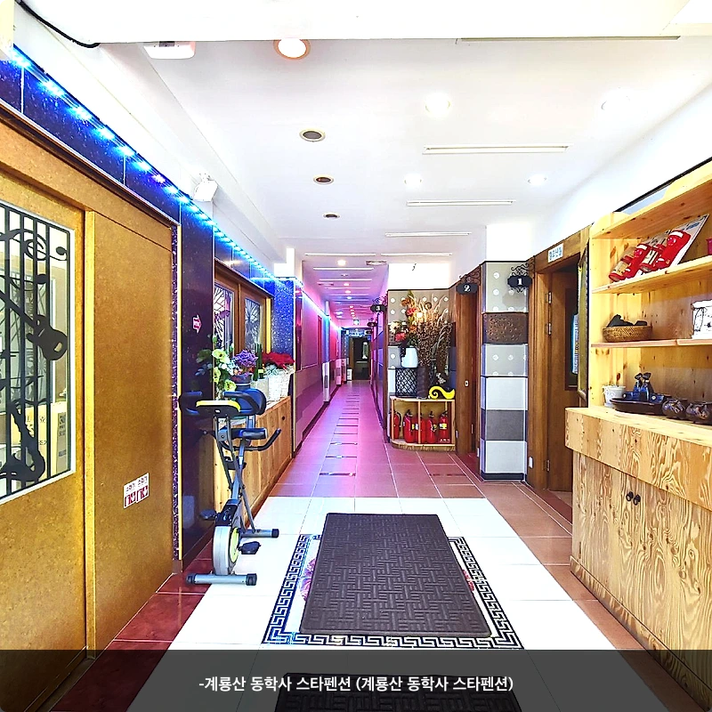 -계룡산 동학사 스타펜션 (계룡산 동학사 스타펜션)_3