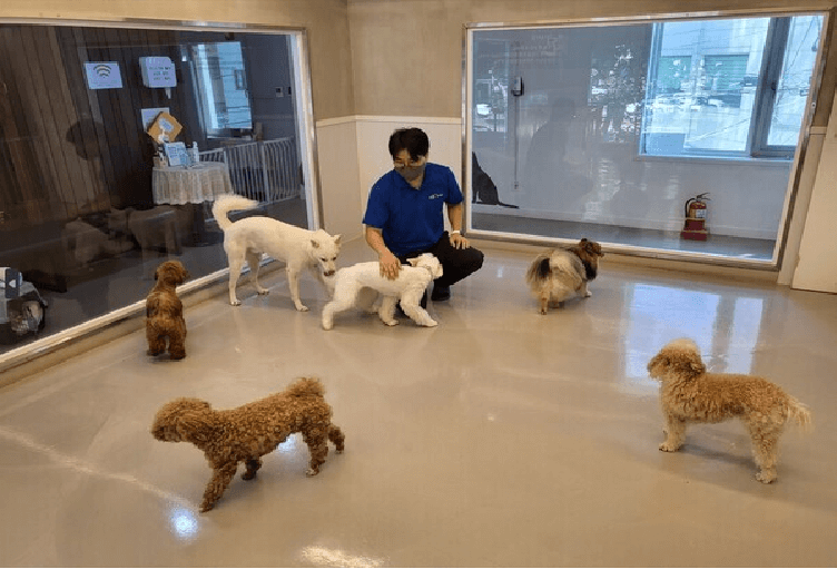 민생회복지원금 사용처