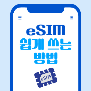 eSIM 사용 법