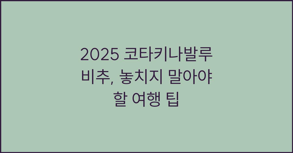 2025 코타키나발루 비추