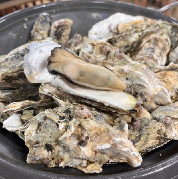 백반기행-거제-굴구이-옥바우