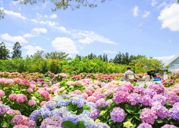 5월제주도 가볼만한곳