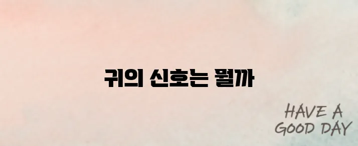 귀에서 삐소리가 나는 이유