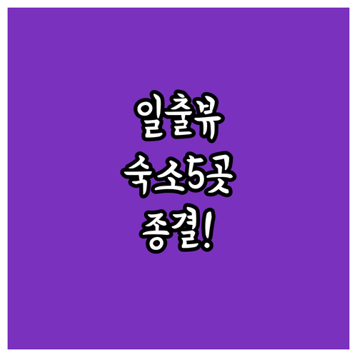 강릉 경포대 주문진 일출 뷰 맛집 숙..