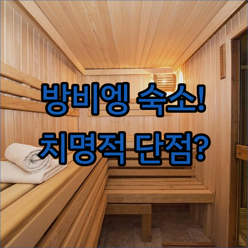 라오스 방비엥 숙소 5곳 치명적인 단..