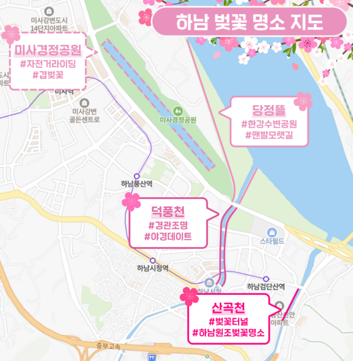 하남 미사 벚꽃