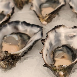 굴 효능 3 뇌 건강 도움