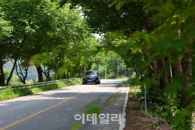 경기도 안성 금광호수로